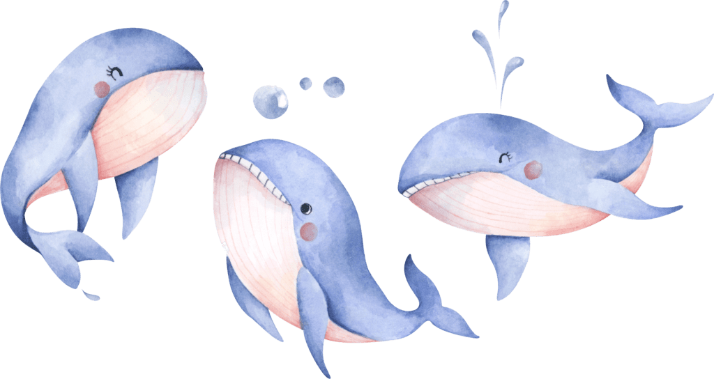 ballenas